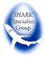 logo-Shark Specialist Group Logo