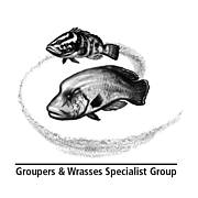 logo-groupers_and_wrasses_LOGO